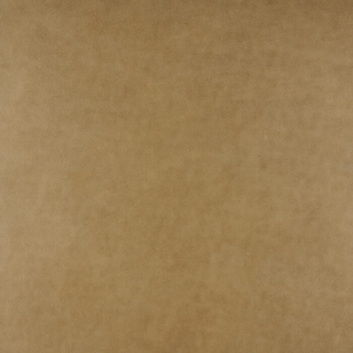 Lucido Martini Olive - Image 2