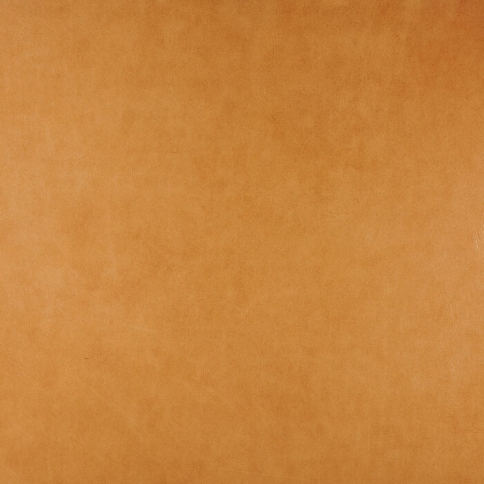 Lucido Caramel - Image 2