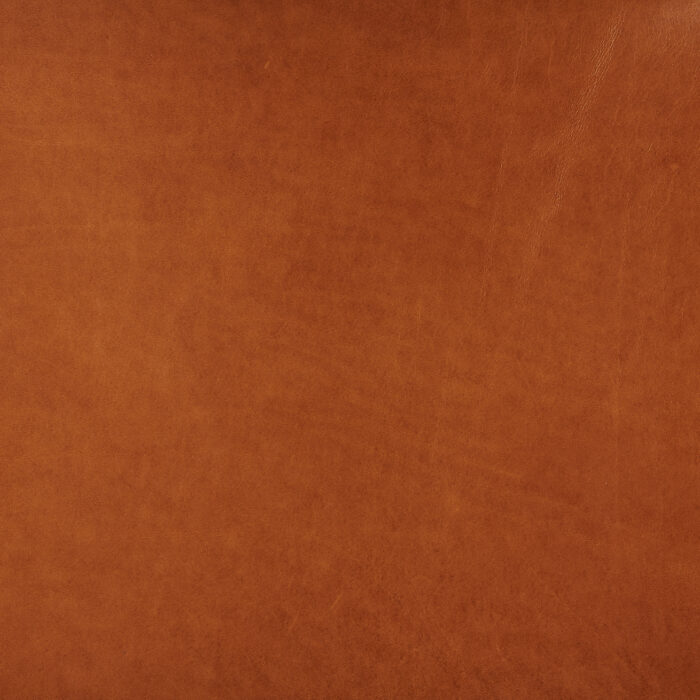Lucido Brandy - Image 2