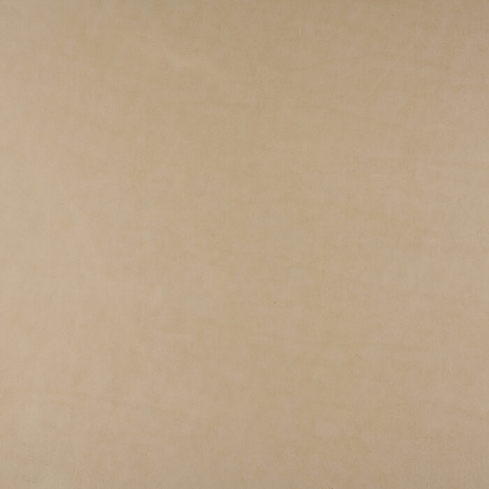 Lucido Ivory - Image 2