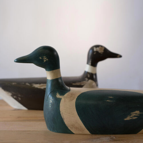 AC-975-G DUCK, GREEN