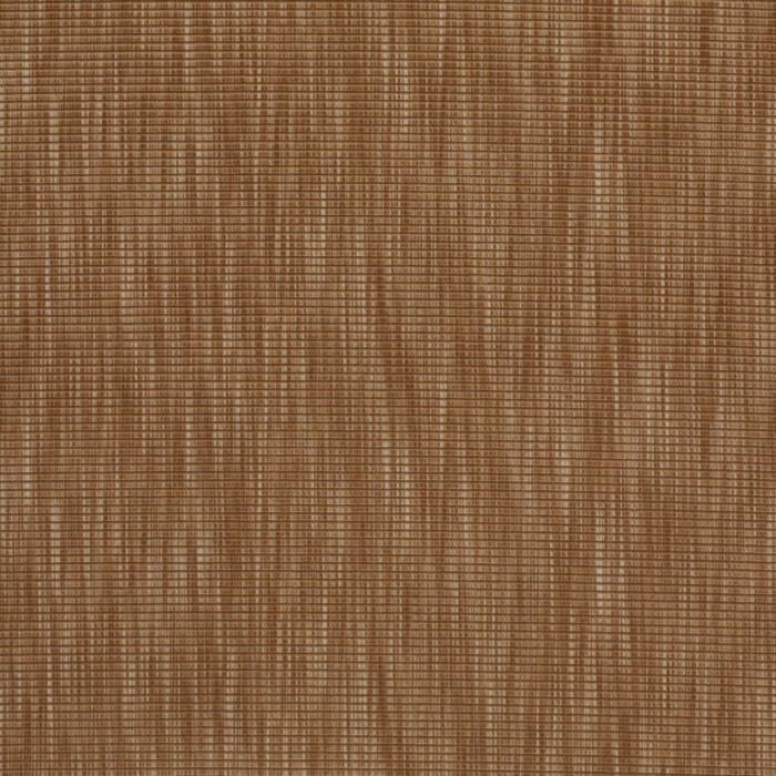 Matchsticks Camel