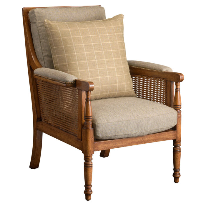 Georgian Caned Lounge Chair image 3