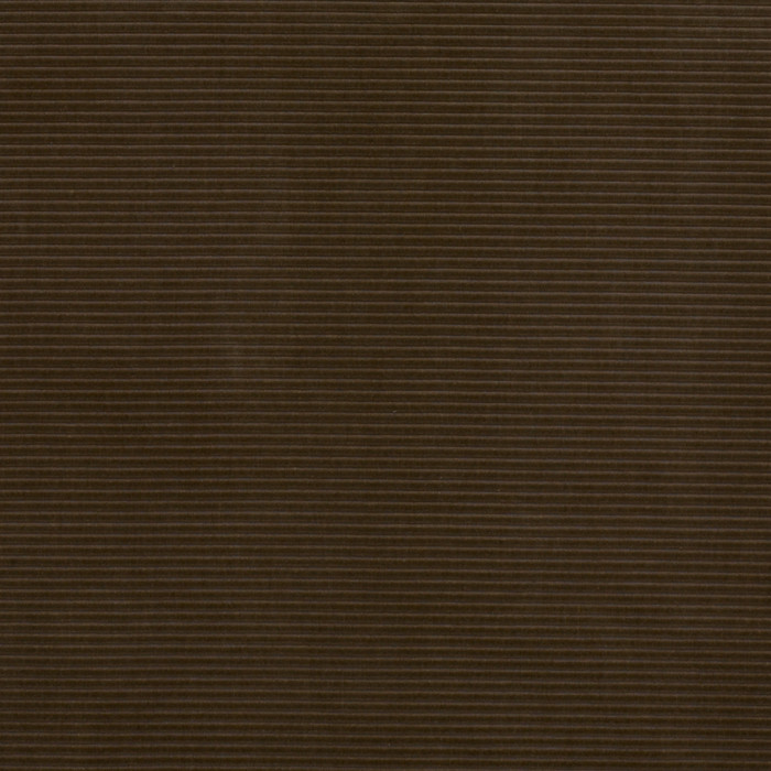 Velours Cord Oregano