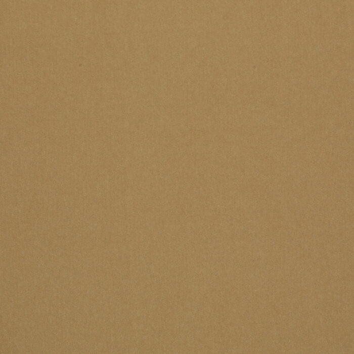 LUGANO IN CAMEL