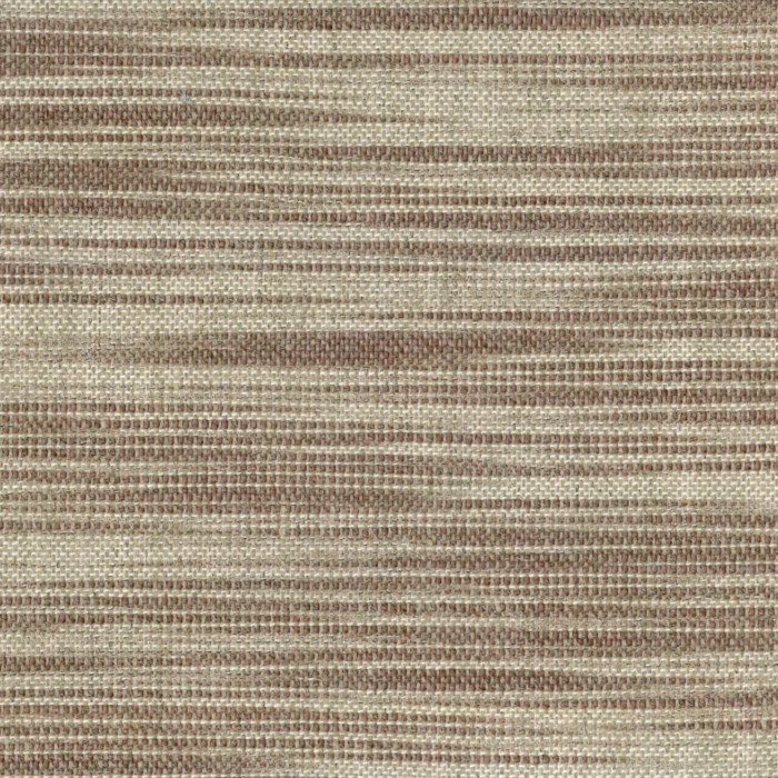 Eddy Speckled Alder