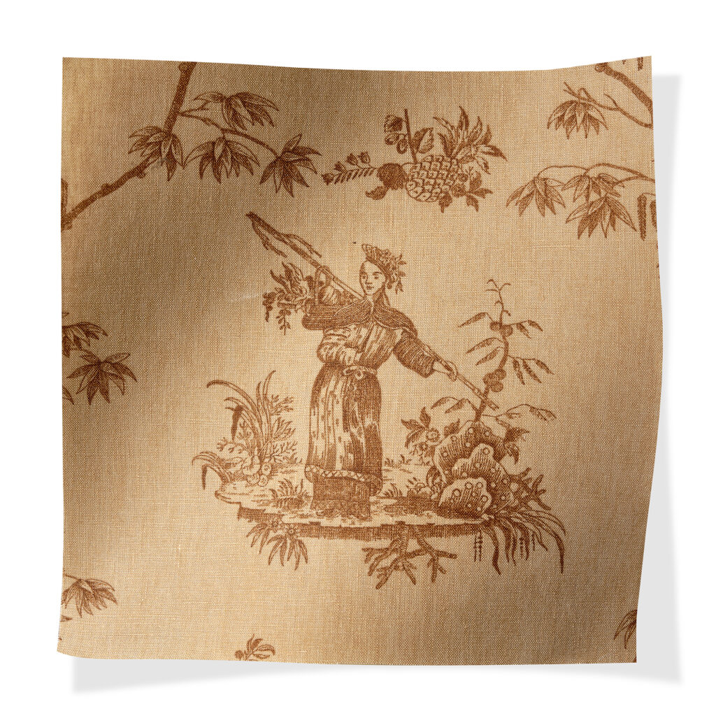 3007L_03_Wisteria_Ginger Tea