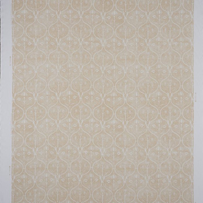 Padua Rena - Image 2