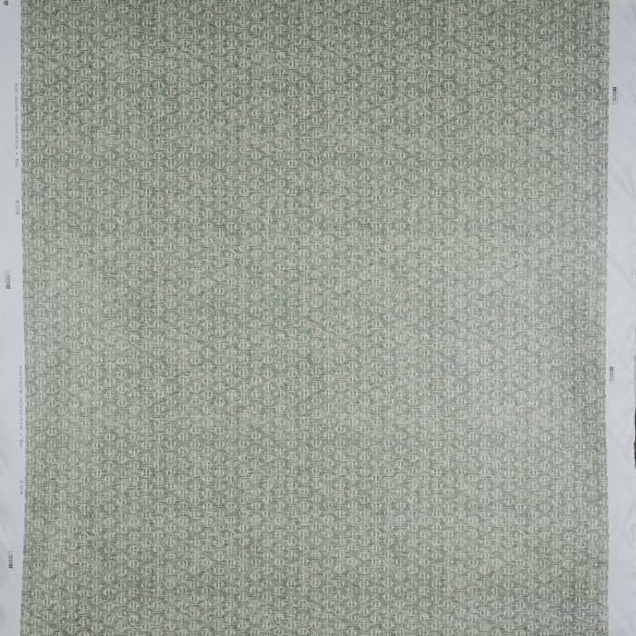 Ezio Vert de Terre - Image 2