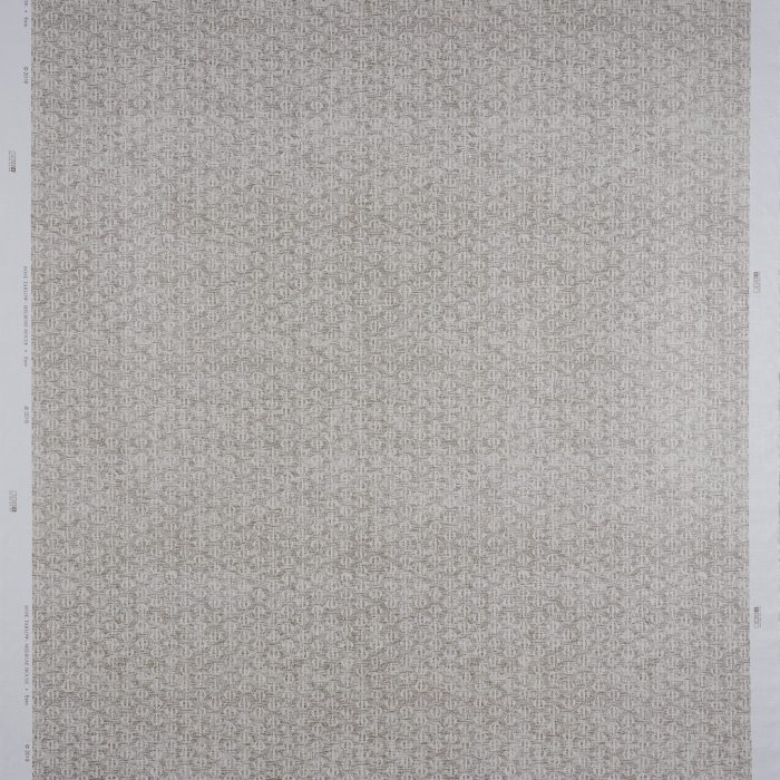 Ezio Fossil - Image 2