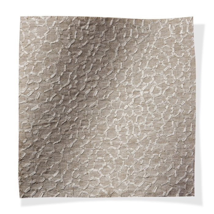 Brise' Fossil