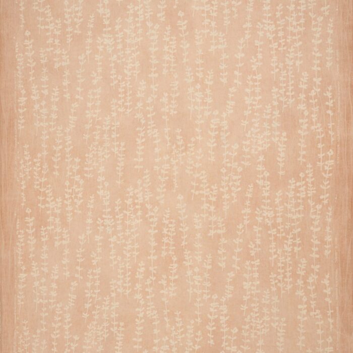 Lakmé Coquille - Image 2