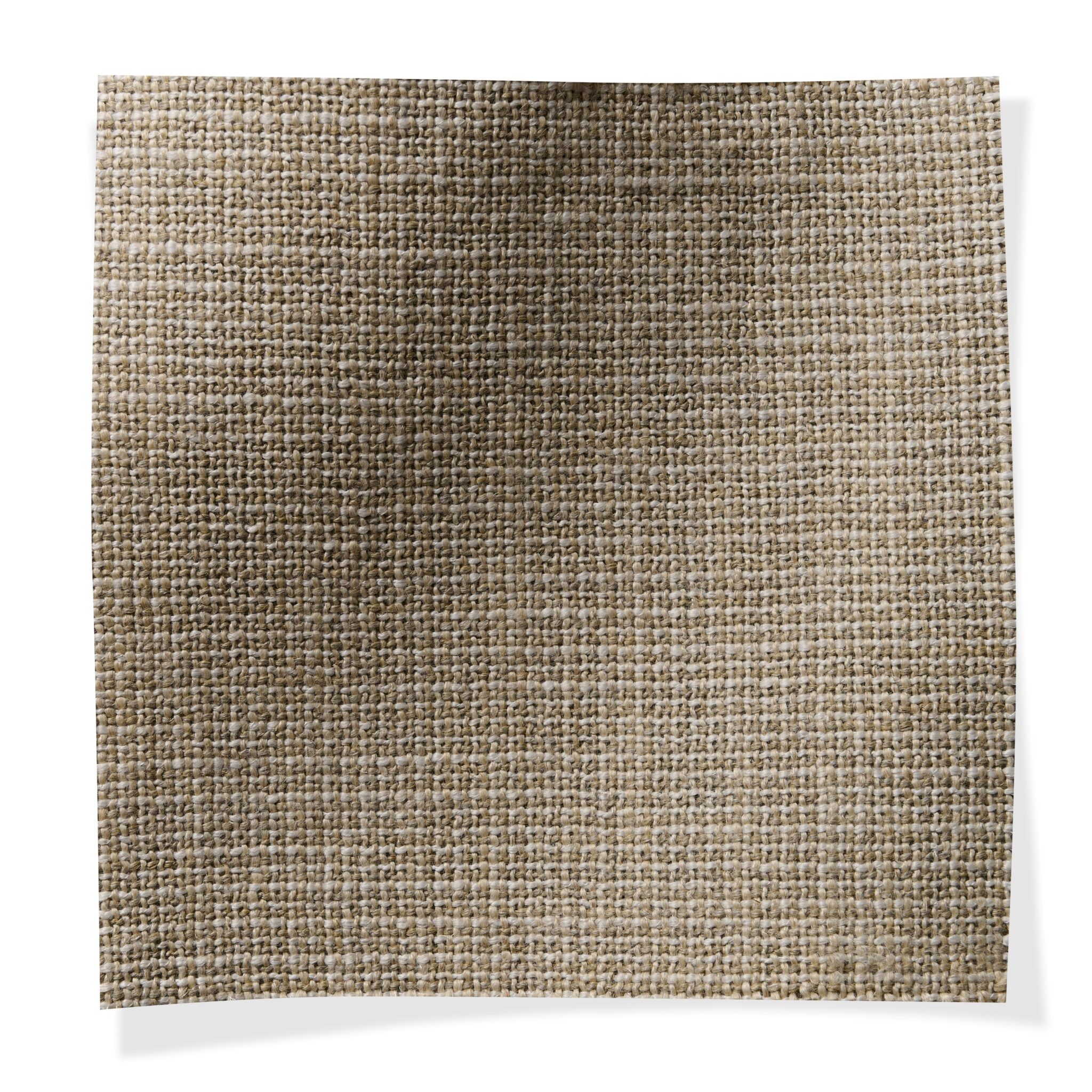 Antico Coquina 2427/07 ANTICO COQUINA